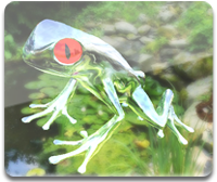 SilverMotion Shader Builder Demo